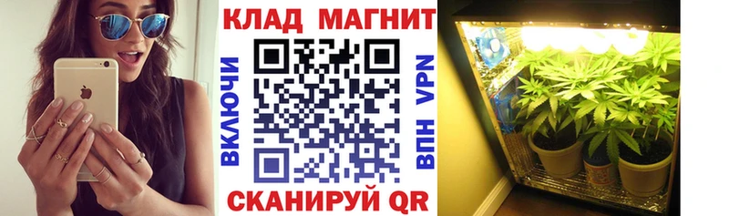 Наркошоп купить БУТИРАТ  Меф мяу мяу  СОЛЬ  Гашиш  Вейп ТГК  Марихуана  Галлюциногенные грибы  Cocaine  Соль-Илецк