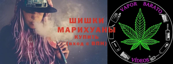 амф Инсар