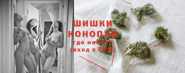 амф Инсар